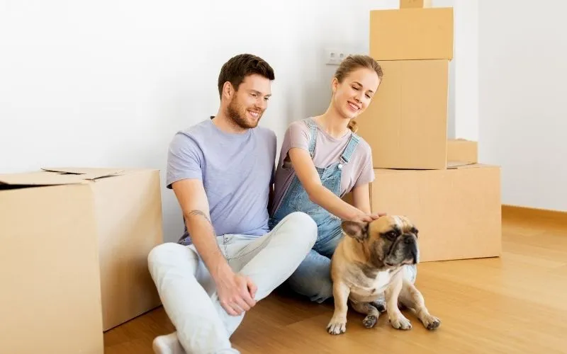 Brytor moving company team at work